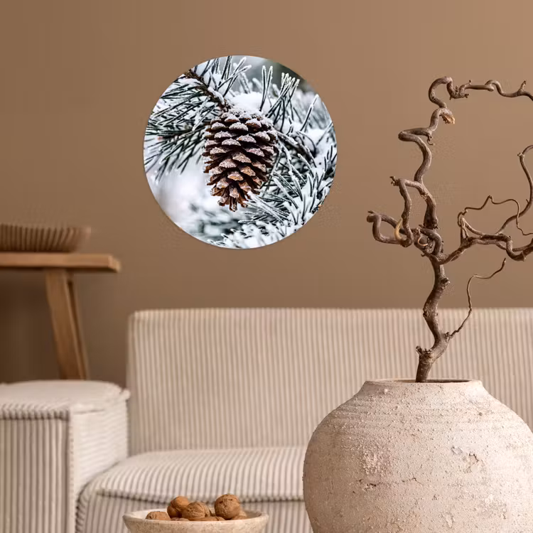 Dennenappel - Tak - Sneeuw - Winter - Sfeervol Wandcirkel behangsticker klein -sfeer1