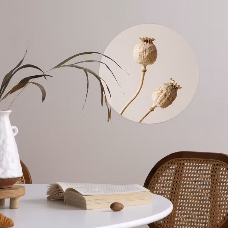 Papaverbollen - Droogbloemen - Minimalistisch - Beige - Rustig Wandcirkel behangsticker klein -sfeer3