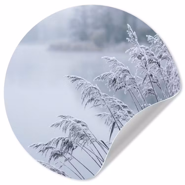 Riet - Bevroren - Winter - Natuur Wandcirkel behangsticker klein -3d
