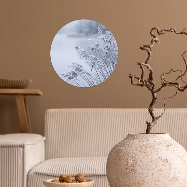 Riet - Bevroren - Winter - Natuur Wandcirkel behangsticker klein -sfeer1