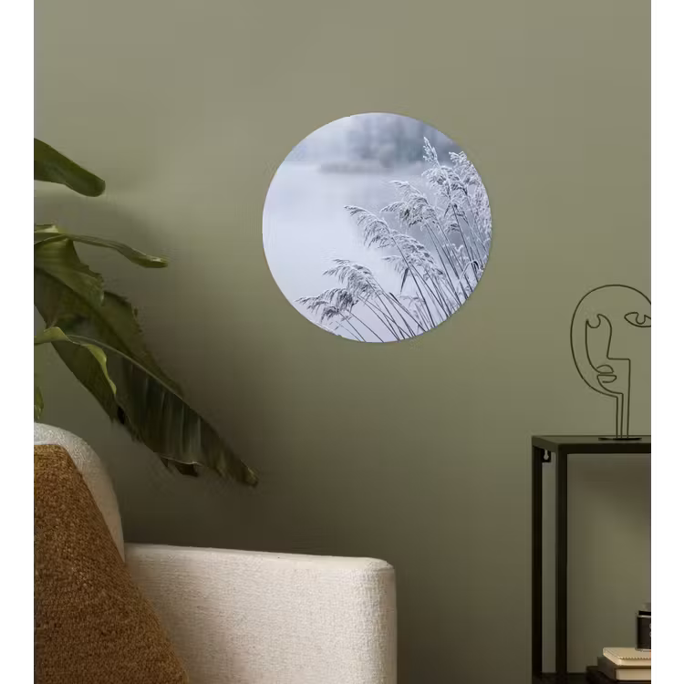 Riet - Bevroren - Winter - Natuur Wandcirkel behangsticker klein -sfeer2