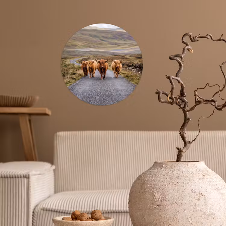 Schotse Hooglanders - Weg - Landschap - Kudde Wandcirkel behangsticker klein -sfeer1