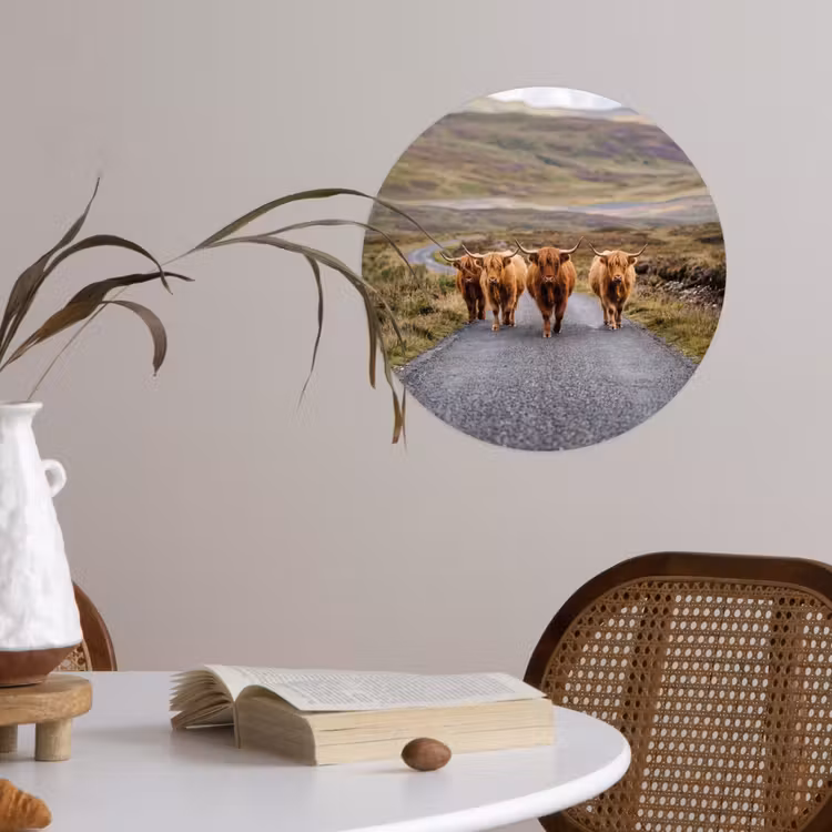 Schotse Hooglanders - Weg - Landschap - Kudde Wandcirkel behangsticker klein -sfeer3