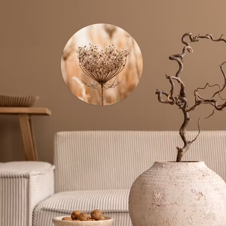 Schermbloem - Droogbloem - Winter - Beige - Minimalistisch Wandcirkel behangsticker klein -sfeer1