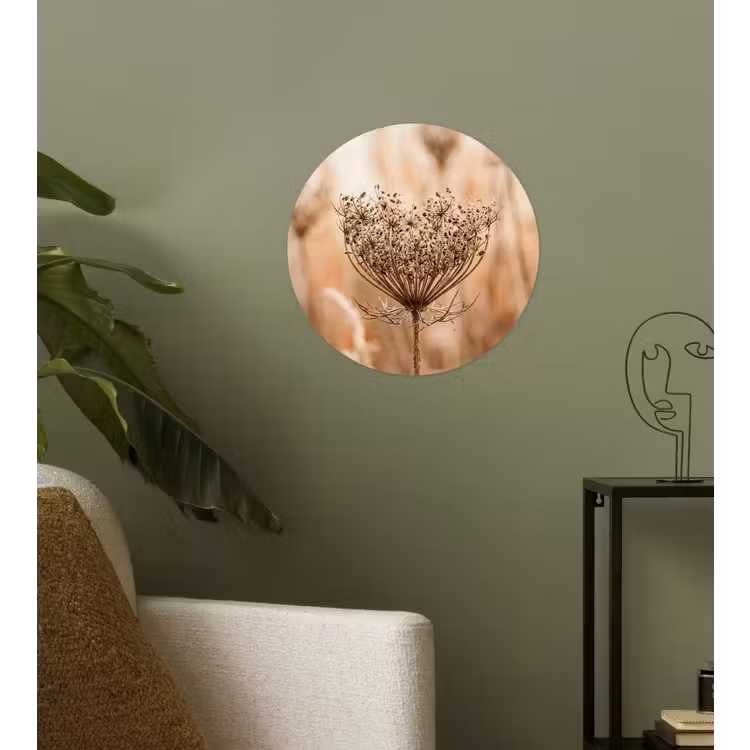 Schermbloem - Droogbloem - Winter - Beige - Minimalistisch Wandcirkel behangsticker klein -sfeer2