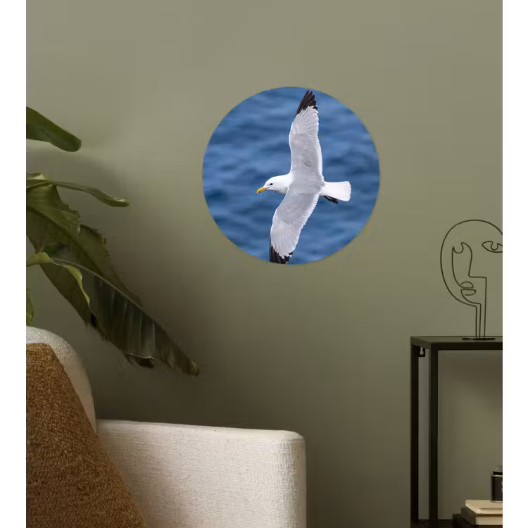 Zeemeeuw - Oceaan - Blauw Wandcirkel behangsticker klein -sfeer2