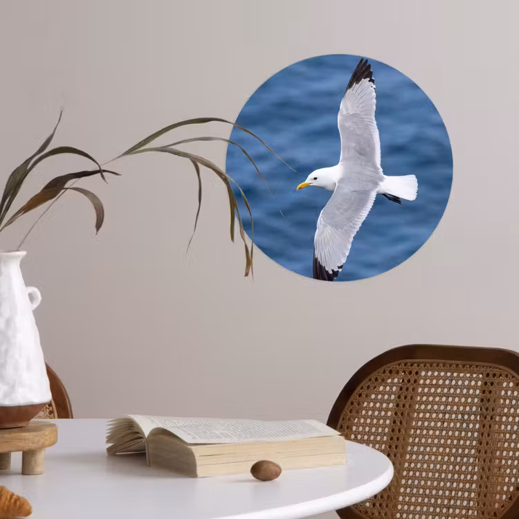 Zeemeeuw - Oceaan - Blauw Wandcirkel behangsticker klein -sfeer3