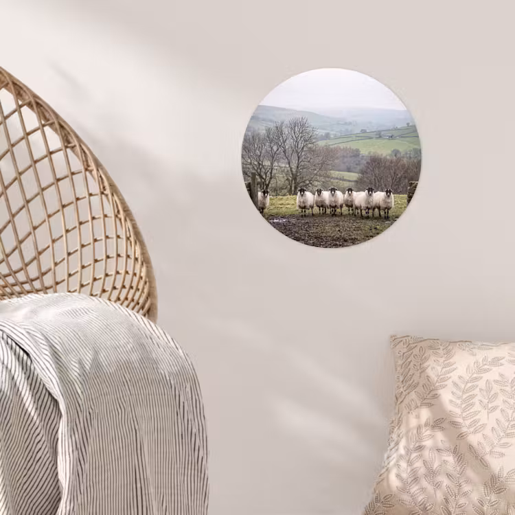 Schapen - Rij - Weide - Dieren - Platteland Wandcirkel behangsticker klein -sfeer4