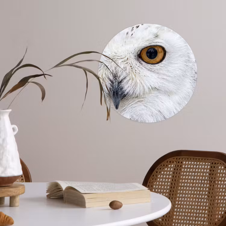Sneeuwuil - Oog - Wildlife - Wit Wandcirkel behangsticker klein -sfeer3