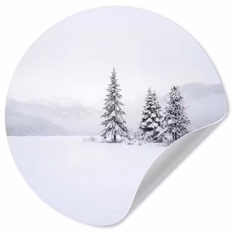 Fijnsparren - Sneeuw - Winter - Landschap - Stilte Wandcirkel behangsticker klein -3d