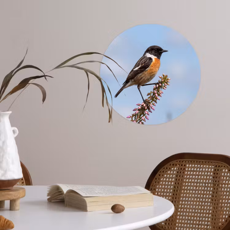 Roodborsttapuit - Heide - Paars - Natuur - Sfeervol Wandcirkel behangsticker klein -sfeer3