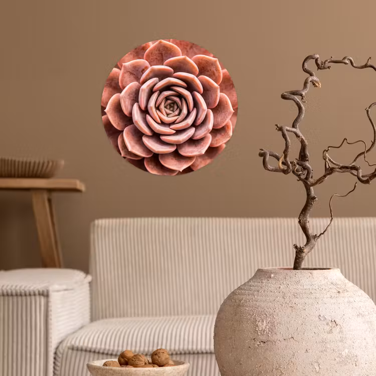 Vetplant - Organisch - Roze Wandcirkel behangsticker klein -sfeer1