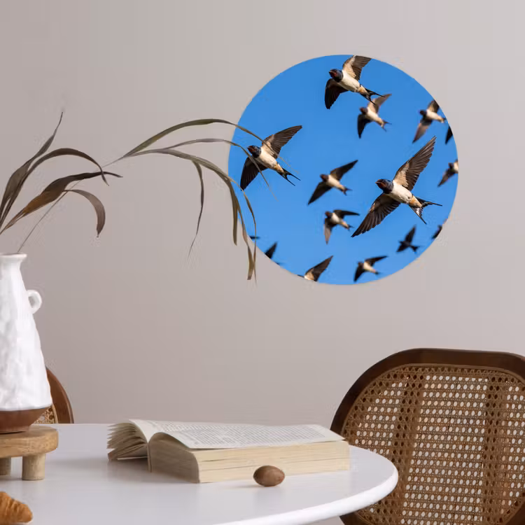 Zwaluwen - Vliegen - Blauw Wandcirkel behangsticker klein -sfeer3