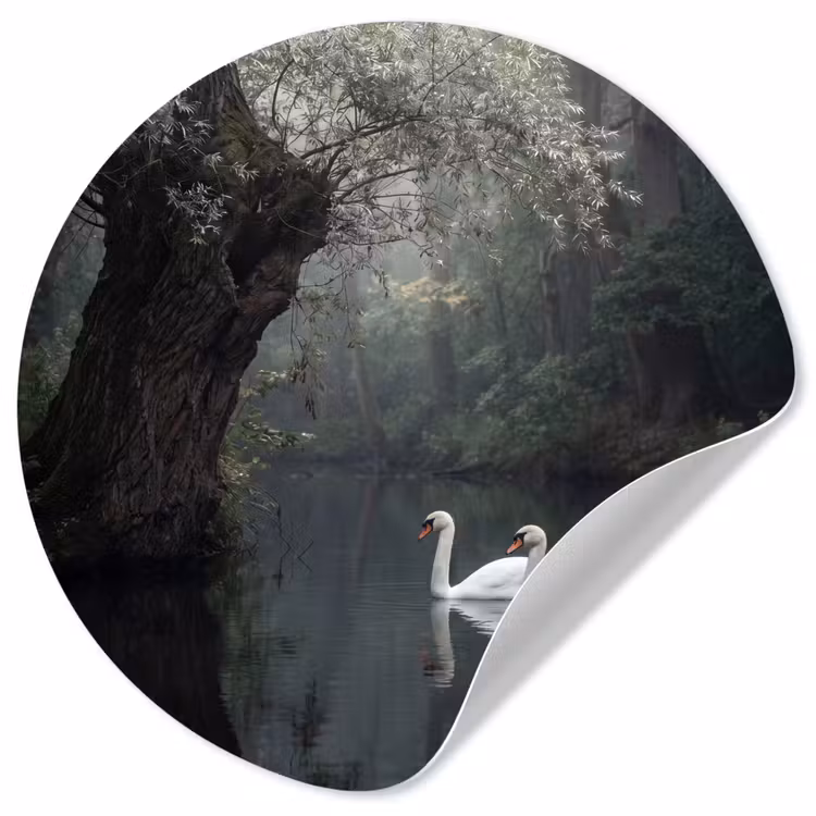 Zwanen - Rivier - Bos Wandcirkel behangsticker klein -3d