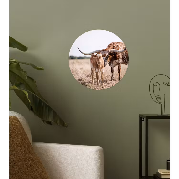 Texas Longhorn - Kalf - Weide - Dieren Wandcirkel behangsticker klein -sfeer2