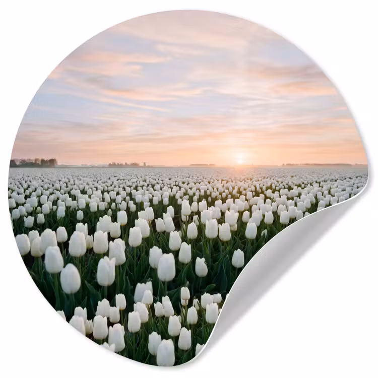 Tulpen - Landschap - Wit Wandcirkel behangsticker klein -3d