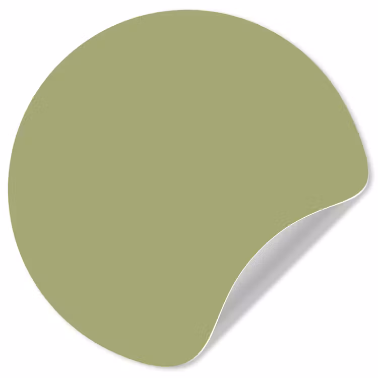 Whispering - Sage - Groen Wandcirkel behangsticker klein 186 -3d