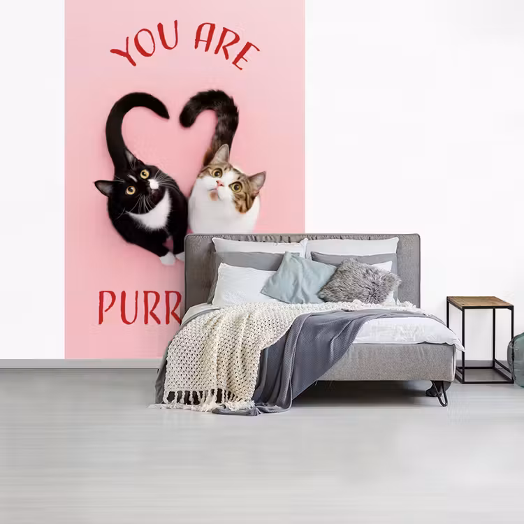 Kat - Hart - Tekst - Valentijn fotobehang vinyl groot -slaapkamer