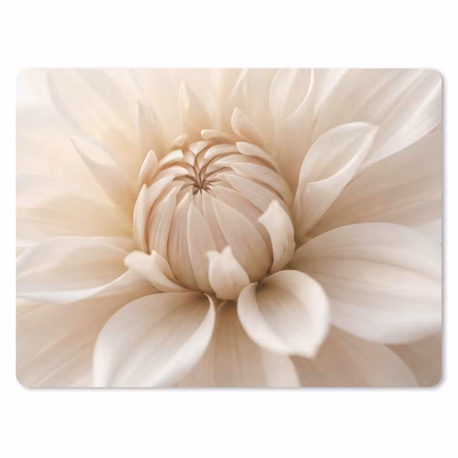 Mouse Pad - Flower - Dahlia - White