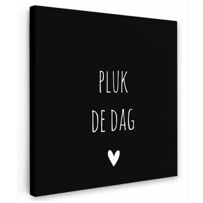 Carpe diem - Spreuken - Pluk de dag - Quotes Tuinposter op houten frame 2 cm dik klein -3d