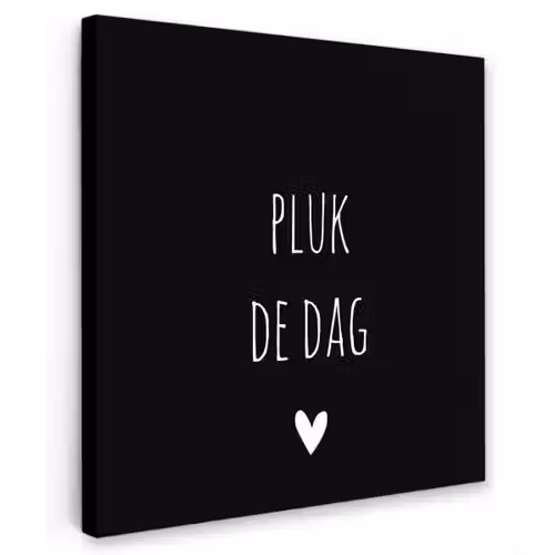 Carpe diem - Spreuken - Pluk de dag - Quotes Tuinposter op houten frame 2 cm dik klein -3d