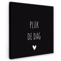 Carpe diem - Spreuken - Pluk de dag - Quotes Tuinposter op houten frame 2 cm dik klein -3d