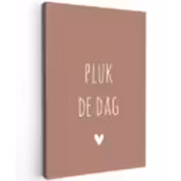 Carpe diem - Spreuken - Pluk de dag - Quotes Tuinposter op houten frame 2 cm dik klein -3d