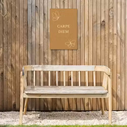 Carpe Diem met Vlinder Tuinposter op houten frame 2 cm dik klein -sfeer4