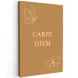 Carpe Diem met Vlinder Tuinposter op houten frame 2 cm dik klein -3d