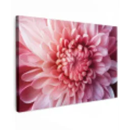 Dahlia - Bloem - Close up - Roze Tuinposter op houten frame 2 cm dik klein -3d