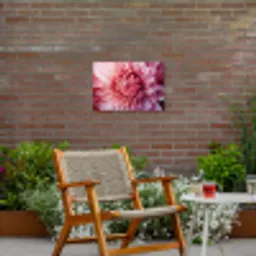 Dahlia - Bloem - Close up - Roze Tuinposter op houten frame 2 cm dik klein -sfeer3
