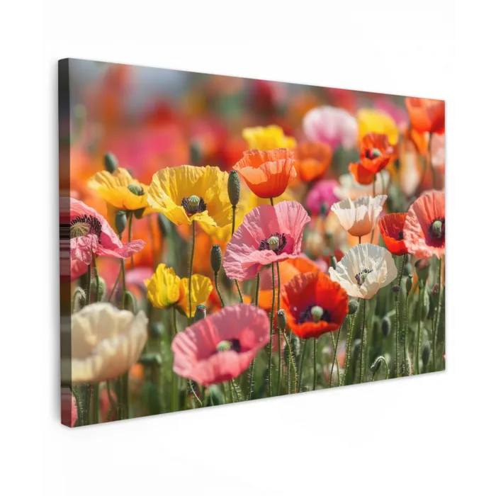 Bloemenveld - Klaprozen - Kleurrijk Tuinposter op houten frame 2 cm dik klein -3d