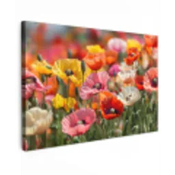 Bloemenveld - Klaprozen - Kleurrijk Tuinposter op houten frame 2 cm dik klein -3d