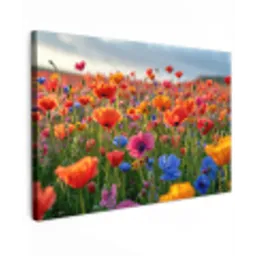Bloemenweide in volle bloei Tuinposter op houten frame 2 cm dik klein -3d