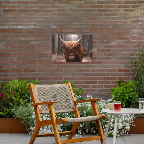 Hooglander in het Bos Tuinposter op houten frame 2 cm dik klein -sfeer3