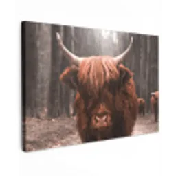 Hooglander in het Bos Tuinposter op houten frame 2 cm dik klein -3d