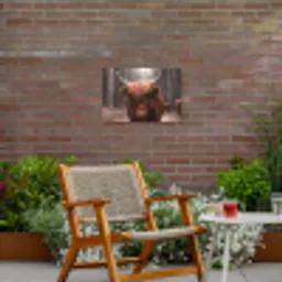Hooglander in het Bos Tuinposter op houten frame 2 cm dik klein -sfeer3