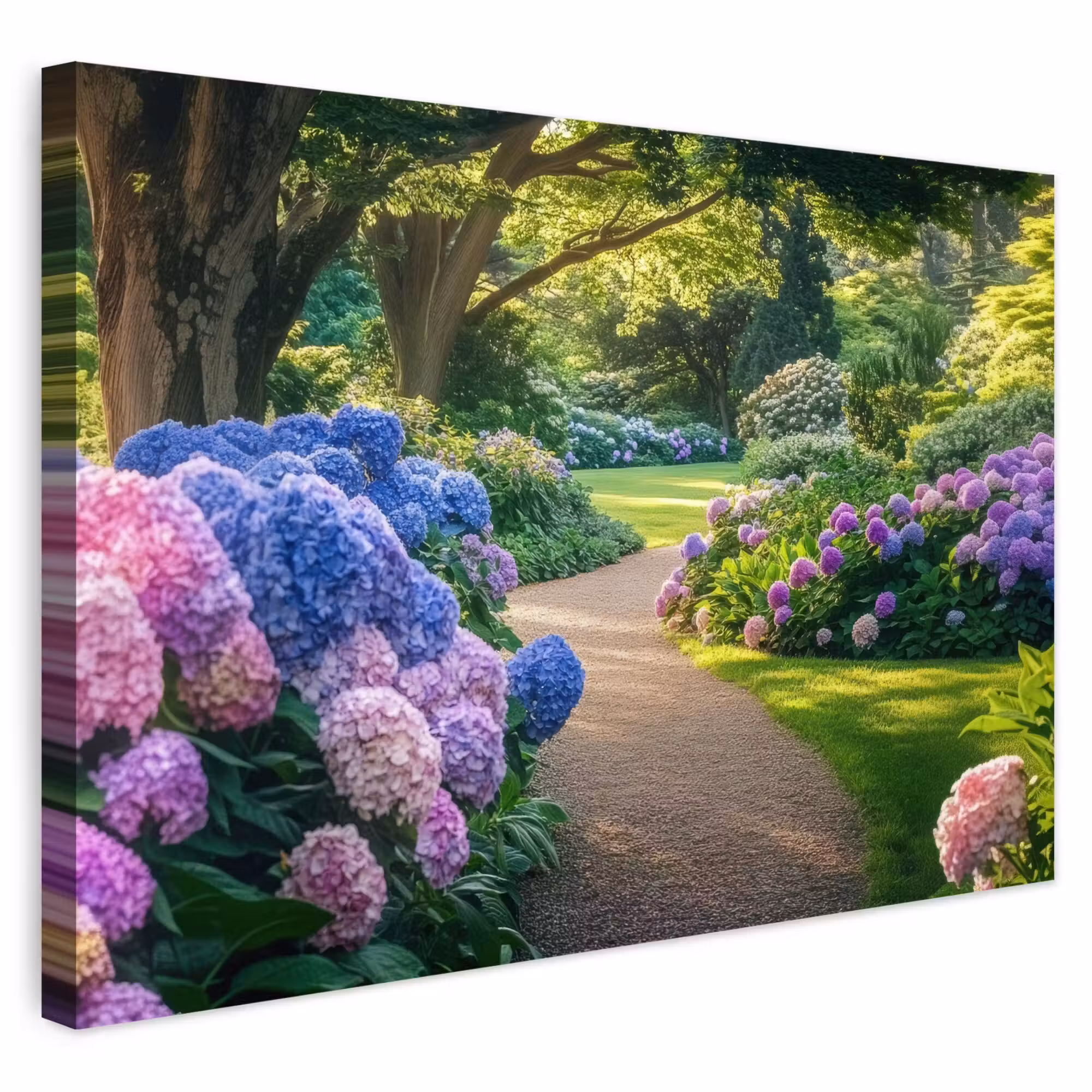 Outdoor Canvas Print - Hortensia Park - Path