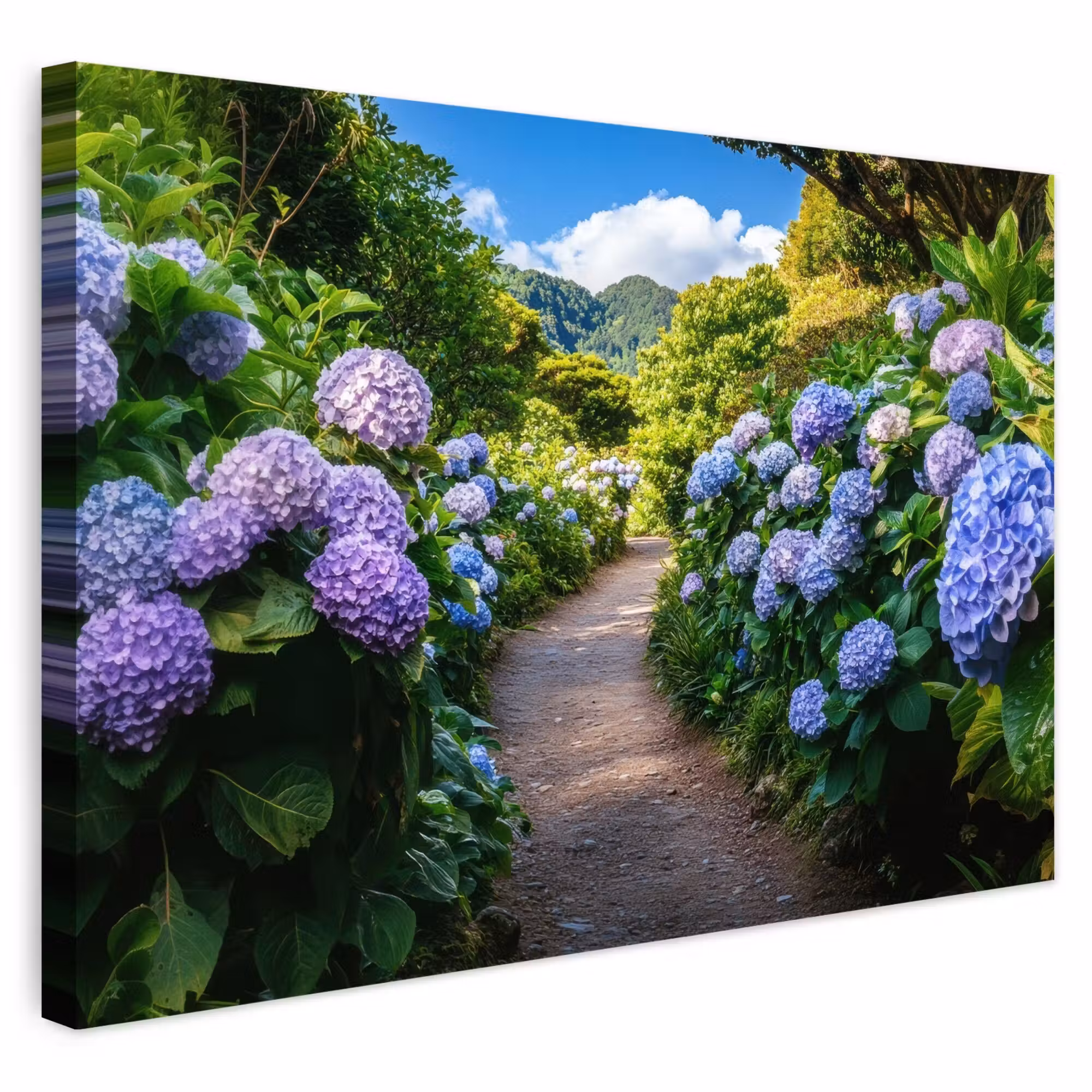 Outdoor Canvas Print - Hortsensia - Toad - Flowers