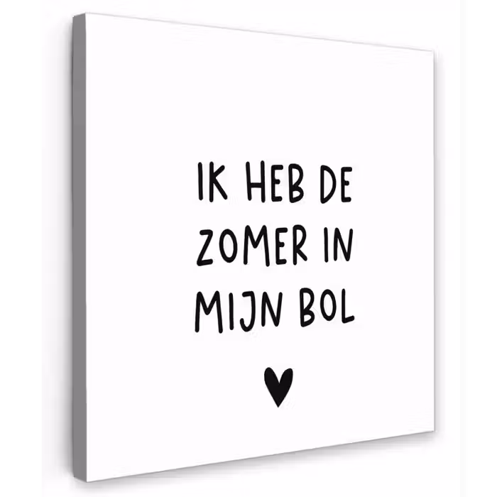 Ik heb de zomer in mijn bol - André Hazes - Spreuken - Quotes Tuinposter op houten frame 2 cm dik klein -3d