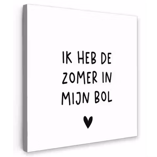 Ik heb de zomer in mijn bol - André Hazes - Spreuken - Quotes Tuinposter op houten frame 2 cm dik klein -3d