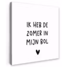 Ik heb de zomer in mijn bol - André Hazes - Spreuken - Quotes Tuinposter op houten frame 2 cm dik klein -3d
