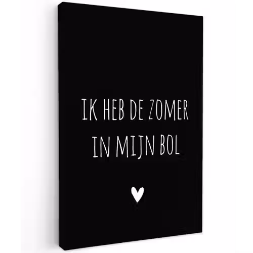 Ik heb de zomer in mijn bol - Quotes - Spreuken - André Hazes Tuinposter op houten frame 2 cm dik klein -3d