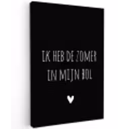 Ik heb de zomer in mijn bol - Quotes - Spreuken - André Hazes Tuinposter op houten frame 2 cm dik klein -3d
