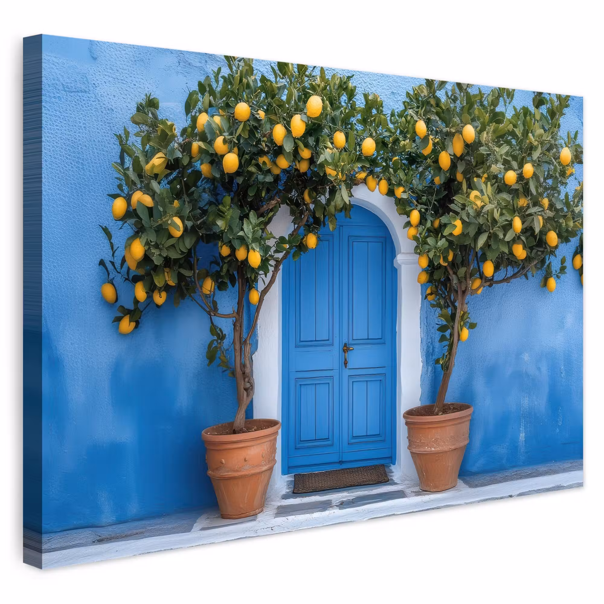Outdoor Canvas Print - Lemon trees - Yellow - Door - Pots