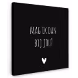 Mag ik dan bij jou - Spreuken - Quotes - Claudia de Breij Tuinposter op houten frame 2 cm dik klein -3d