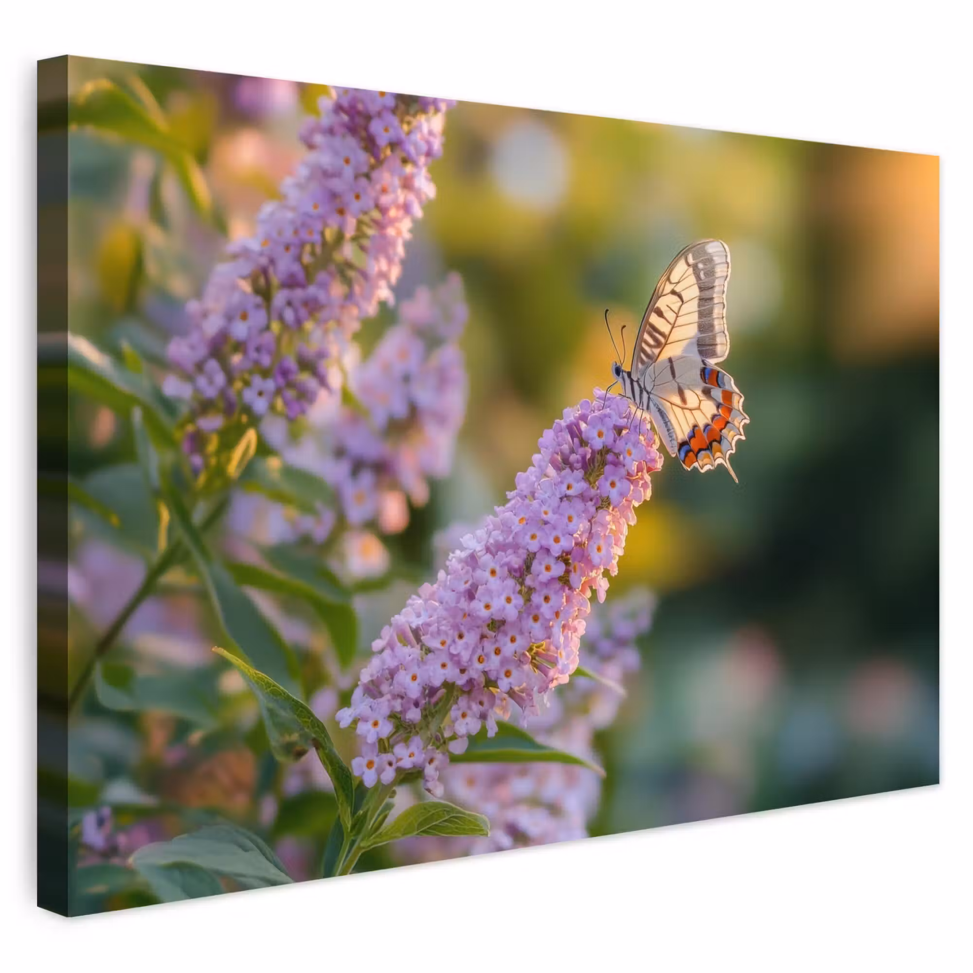 Outdoor Canvas Print - Ornate - Butterfly - Purple - Flowers