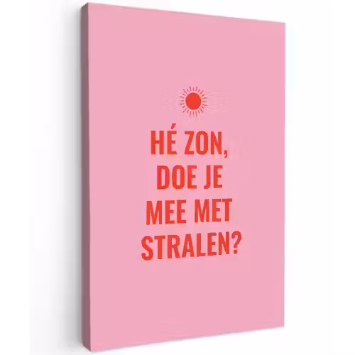 Roze - Zon - Quote Tuinposter op houten frame 2 cm dik klein -3d