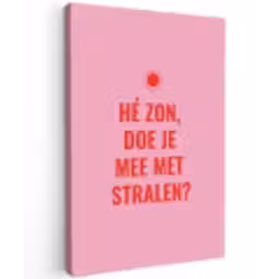 Roze - Zon - Quote Tuinposter op houten frame 2 cm dik klein -3d