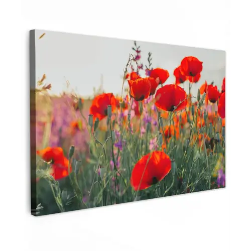 Klaproos - Bloemen - Rood - Paars - Weide Tuinposter op houten frame 2 cm dik klein -3d